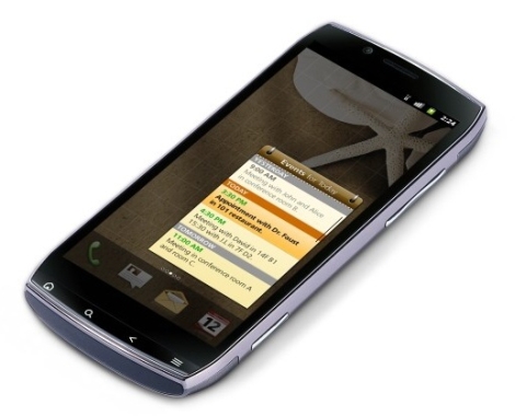 acericoniasmart_1_dh_fx57.jpg