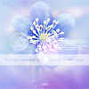 blue05.png