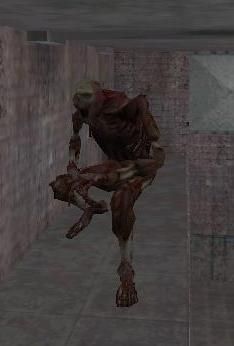 leaperr.jpg