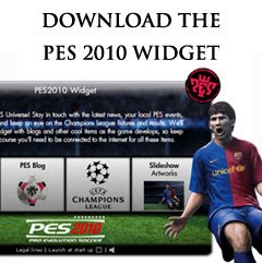 PES+2010+Widget.jpg