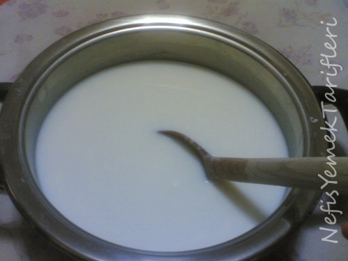 yo%C4%9Furt-mayalama21.jpg