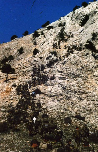 347608490_099bf0d114.jpg