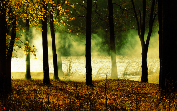 only_dreaming_revised_by_kenpunk79.png