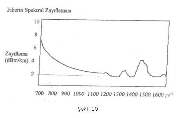 adsz11.jpg