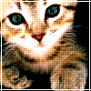 x_animals_2.gif