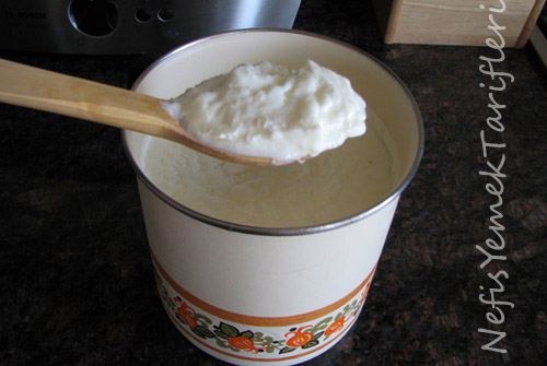 yogurt1.jpg
