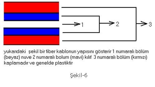 adsz7.jpg