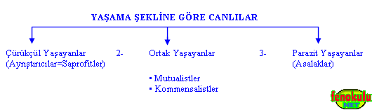 ekosistem3.gif