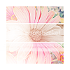 stock01.png