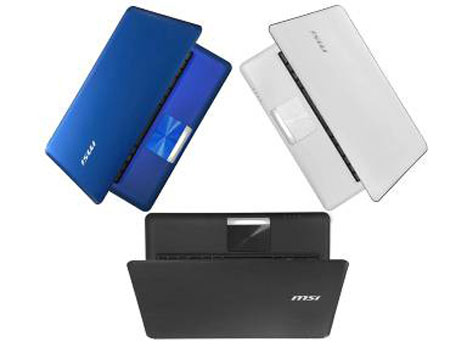DH_MSI_CX480.jpg