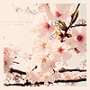 flowers.png