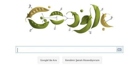 google1311150434.jpg