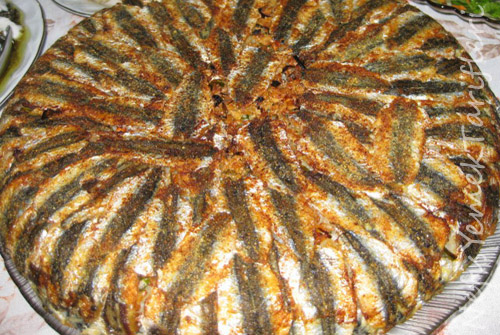 hamsiboregi2.jpg