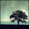 rainy.gif