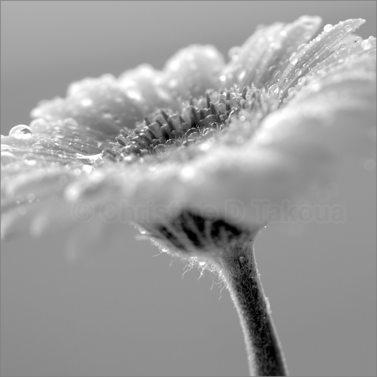 7c7557345c331da3.jpg