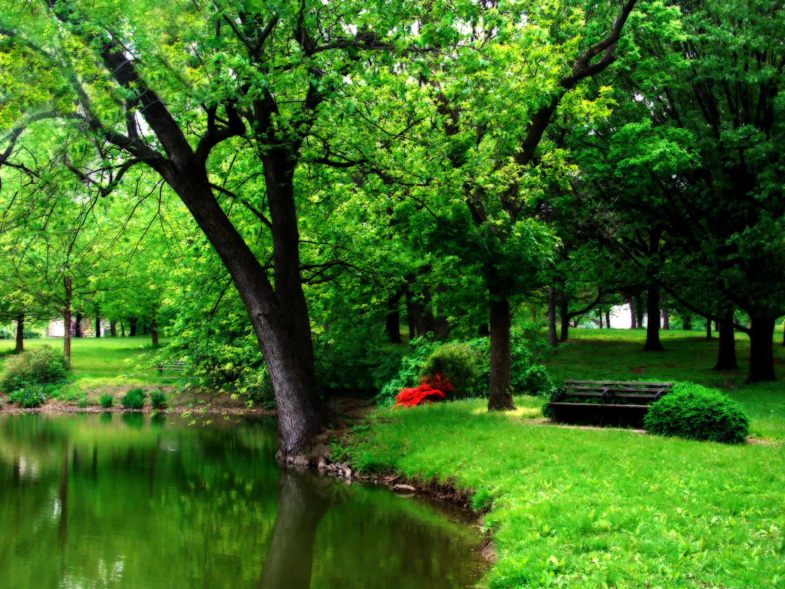 Lindell_Spring_by_jojomercury.jpg
