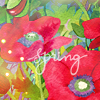 ruthenia_alba_090224poppy4.png