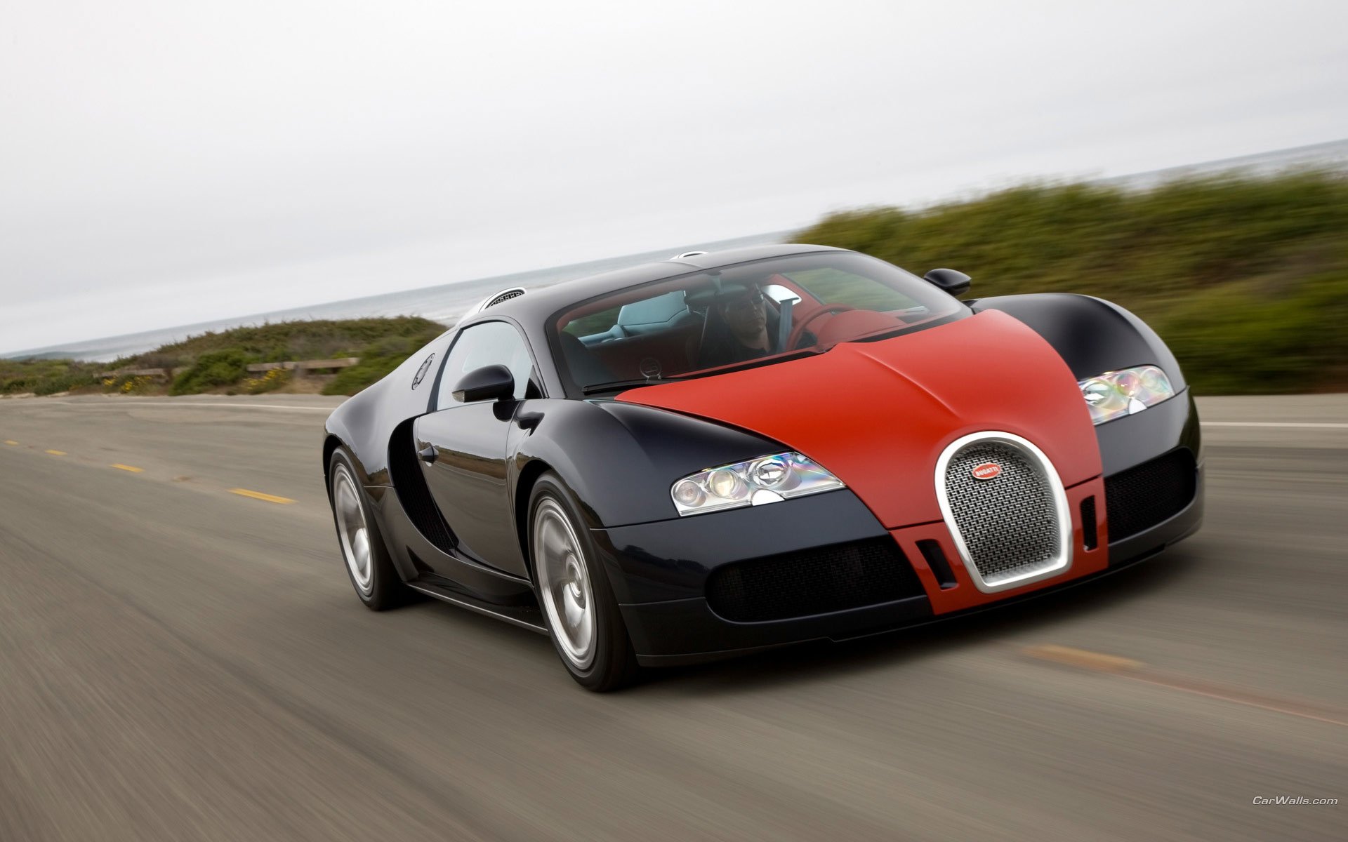 Bugatti-Veyron-2.jpg