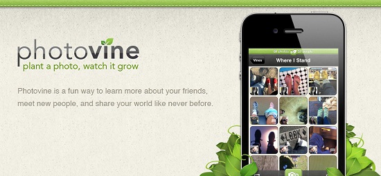 vine.png