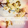 aerylia_stock_spc16.png