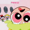 pp33.png