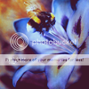 stock904_by_kisuncha.png