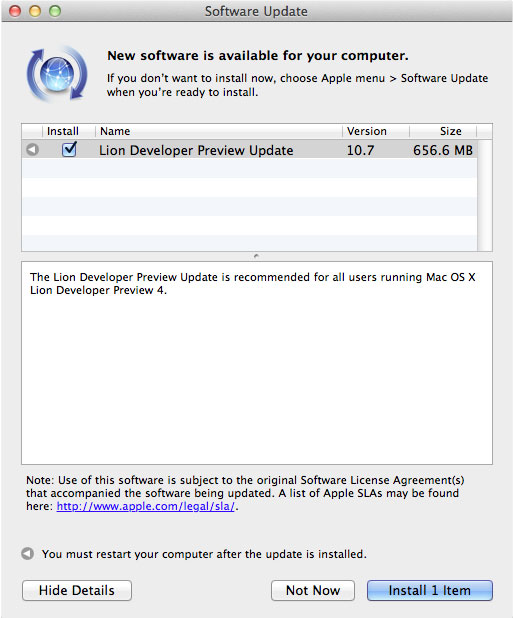 lionupdate_dp.jpg