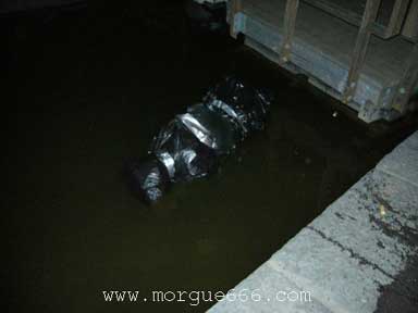 ao2876m25su4xg2lq.jpg