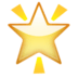 🌟