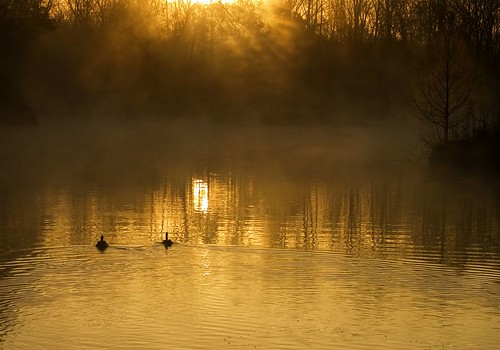 2352370565_15a2c77c49.jpg