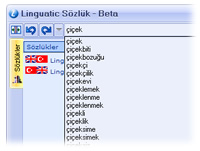 AutoCompleteTR.jpg