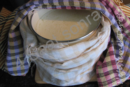 yogurt2.jpg