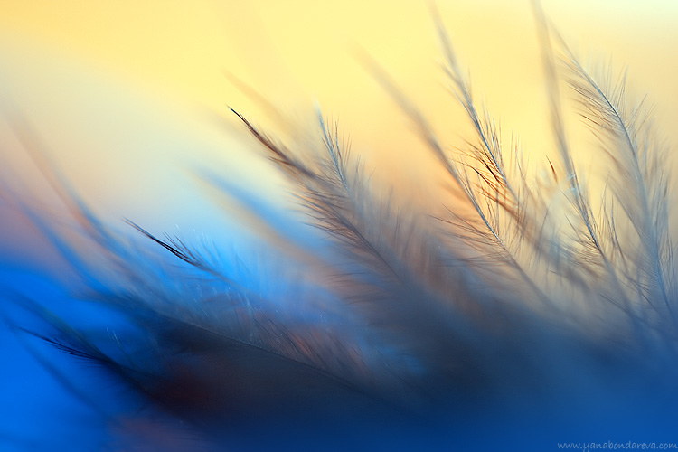af25694604bd060c2562e2f2b8480f8e.jpg