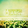 aerylia_stock_spc16-fl.png