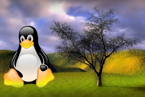 38_linux1303828564.jpg