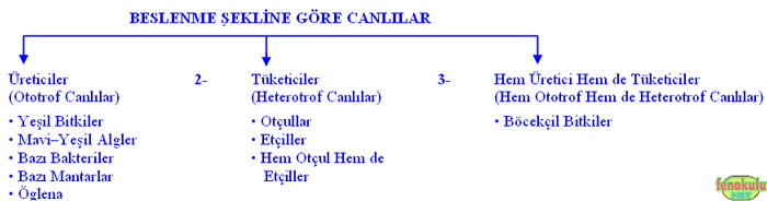 ekosistem1.gif