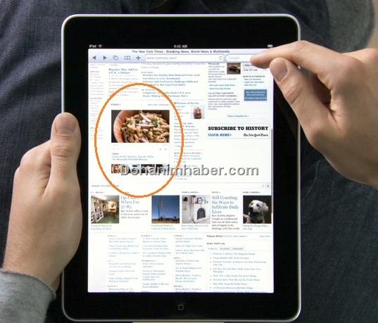 WTM_ipad_safari_flash2.jpg