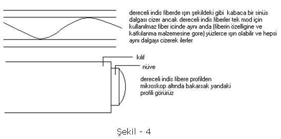 adsz5.jpg