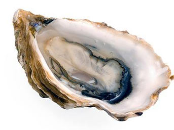istiridyee.jpg
