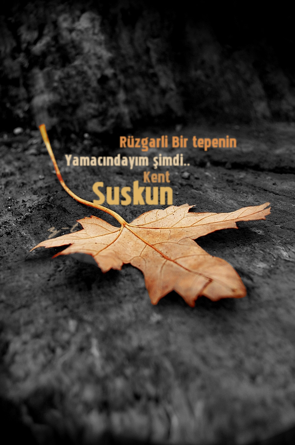rzgarlbir.png