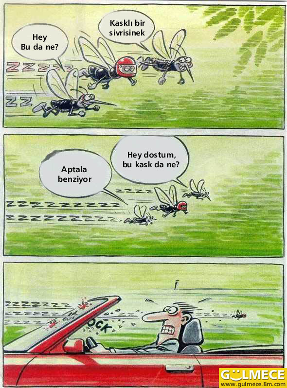 kask.jpg