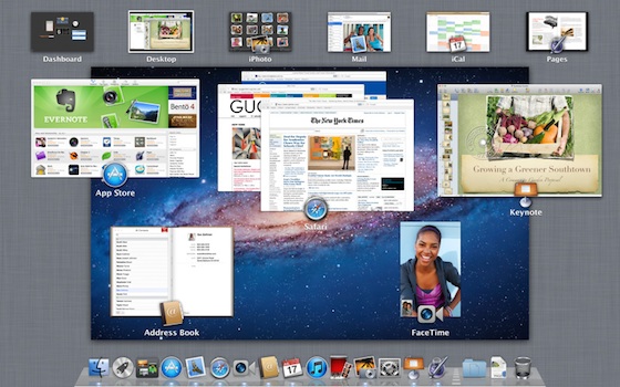 lion_screenshot.jpg