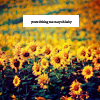 stock995_by_kisuncha.png