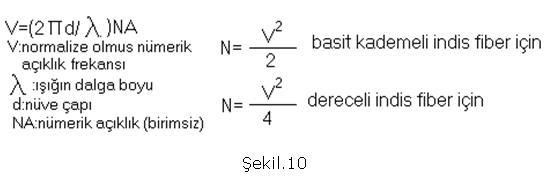 adsz10.jpg