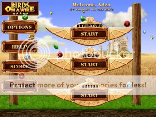 ZumaBirdsonaWire-Start.jpg