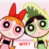 pp12.png