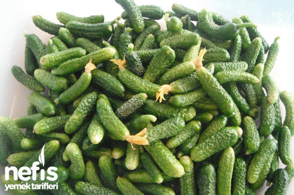 kornison-salatalik-tursu.jpg