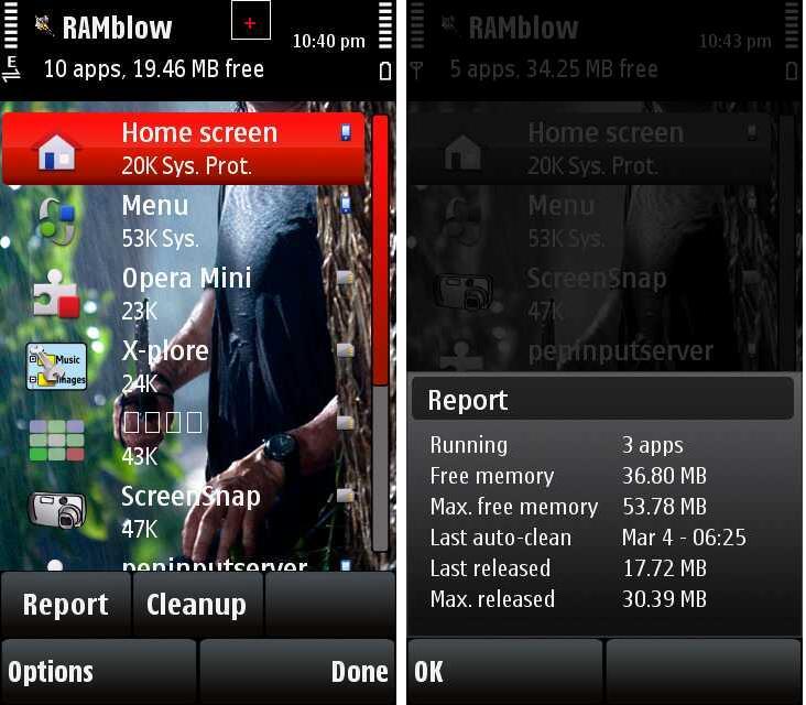 RAM.jpg