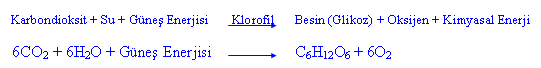 ekosistem2.gif